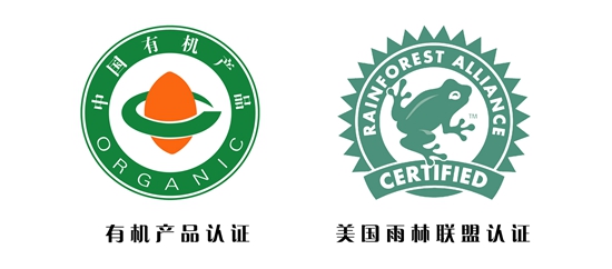 高建华:为日照茶增光添彩