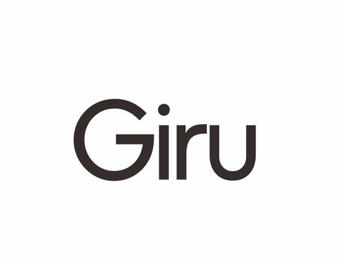 商标注册全攻略 从查询到成功率的权威指南